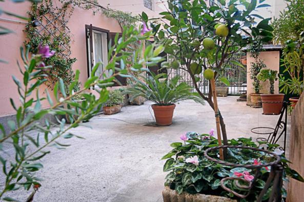 Minerva House Roma Exterior foto